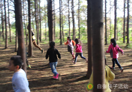 幼兒園親子活動(dòng)活動(dòng)