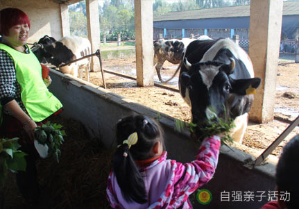 幼兒園親子活動(dòng)活動(dòng)